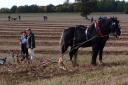 Norfolk Ploughing Society match, North Elmham, Arthur Clouting and Chris Thomas.