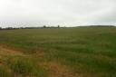 Farmland near Bridgham, Norfolk, which could become a solar farm.