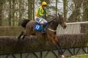 Thetalkinghorse and Tom McClorey in winning action at Horseheath last February. Picture: GRAHAM BISHOP PHOTOGRAPHY