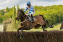 Sandygate and Alex Chadwick were popular winners of the Open Maiden race at Northaw. Picture: GRAHAM BISHOP PHOTOGRAPHY
