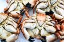 The internationally-renowned Cromer crab from the Norfolk coast is one of the region\'s most famous exports