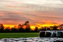 Sun setting across the field at Briston. Picture: Richard Brunton