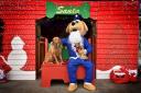 The Santa\'s Grotto for Dogs is returning to The Forum in Norwich for Christmas 2022.
