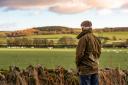 Find out how Clarkson's Farm explores the harsh realities of farming