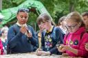 Explore the Fruit and Veg Trail at the Royal Norfolk Show 2023 Discovery Zone