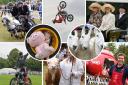 Highlights from the Royal Norfolk Show 2023