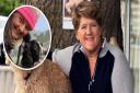 Clare Balding will search for the missing dog Digby in a Channel  show