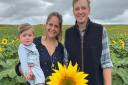 PYO sunflowers are back at Westgate Farm in Walsingham, pictured are Sophie Ollerenshaw and Michael Landale with their son Wilfie