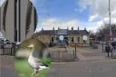 The legend of the grey goose feather is set to be commemorated at King's Lynn station