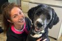 Dog groomer Lauren Starling has volunteered at PACT to groom neglected dogs