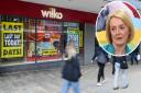 The former chairwoman of Wilko said Liz Truss's mini-budget was a 'contributor' to the retailer's collapse