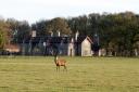 The Gunton Arms sits in a 1,000-acre deer park