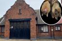 Plans to convert the former Bungay Fire Station into flats has been dismissed because bats living in the roof