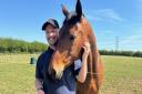 Shawn Overall with World Horse Welfare's Chrystal, one of his sister-in-law's rescue horses