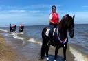 The horses enjoyed their trip to the beach at Great Yarmouth