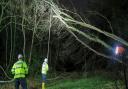 Suffolk fire crews shared pictures of a felled tree in Brandon