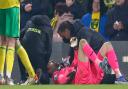 Tim Krul suffered a shoulder injury in the closing stages of Norwich City's Premier League win over Everton