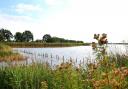 Hickling Broad is a quiet and tranquil space