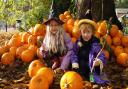 Amelie and Alby Barker from Wymondham at the Real Halloween at Holt Hall, with the wands they had just made and a few pumpkins too!