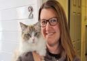 Claire Schoenherr, who has opened the doors of Palm View Cattery to feline guests in Sprowston, Norwich. Picture: Palm View Cattery