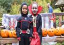 Children at the previous Pumpkin Fest in Brandon (Photo: Lydia Owens Photography)