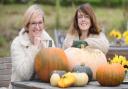 Sisters (L) Sarah Hughes-Wade and Rachel Hughes-Green who run the Firepit Camp in Wendling, are taking part in the Great Pumpkin Rescue. Picture: Ian Burt