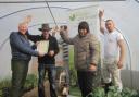 Barry Stone at John Room House's polytunnel.