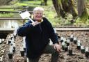 Fairhaven Woodland and Water Garden's 40th anniversary year. The restoration of the West Garden.The first phase of the project is the restoration of a candelabra primula bed, which has been eroded over a number of years by the high tides that find their