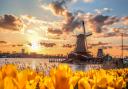 Agriculture, technology, and energy are three of the Netherlands\' most innovative sectors.