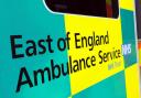 Alexis Oxley-Brennan, of Norwich, faced a 20-hour wait for an ambulance, an inquest heard - Picture: Newsquest
