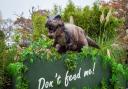 Norfolk-based Roarr! is taking legal action against another prehistoric attraction it claims is using its branding