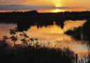 The RSPB site is hosting dusk events this summer