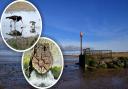 Investigations at Heacham are yet to get to the bottom of the stink