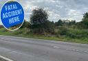 A woman has died following a serious crash on the A143 near Earsham