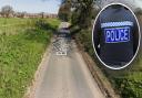 A woman has died after a crash near Acle