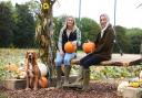 Sisters Leanne, left, and Sammy Harrold, ready for visitors at their Church Farm pumpkin patch at Heacham, with Baloo the dog Picture: Denise Bradley