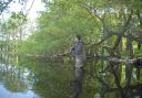 Fishing a glorious Norfolk estate lake