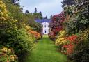 The valuations will be on the lawn at Stody Lodge Gardens Picture: Bryn Ditheridge