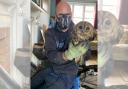 Chimney sweep Darrel Cucu with one of the rescued owls