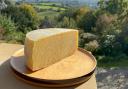 Jonathan Crum's award-winning cheese. Photo: Alison Hall
