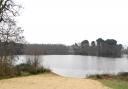 The body of Santhiago Dias was found in woodland off Beccles Road, close to Fritton Lake
