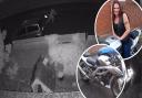 Maddie Bell's Suzuki SV1000 motorbike was stolen from her home in Bowthorpe
