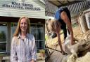 Suffolk shepherdess Tilly Abbott is set to become the first female sheep-shearer at the Royal Norfolk Show