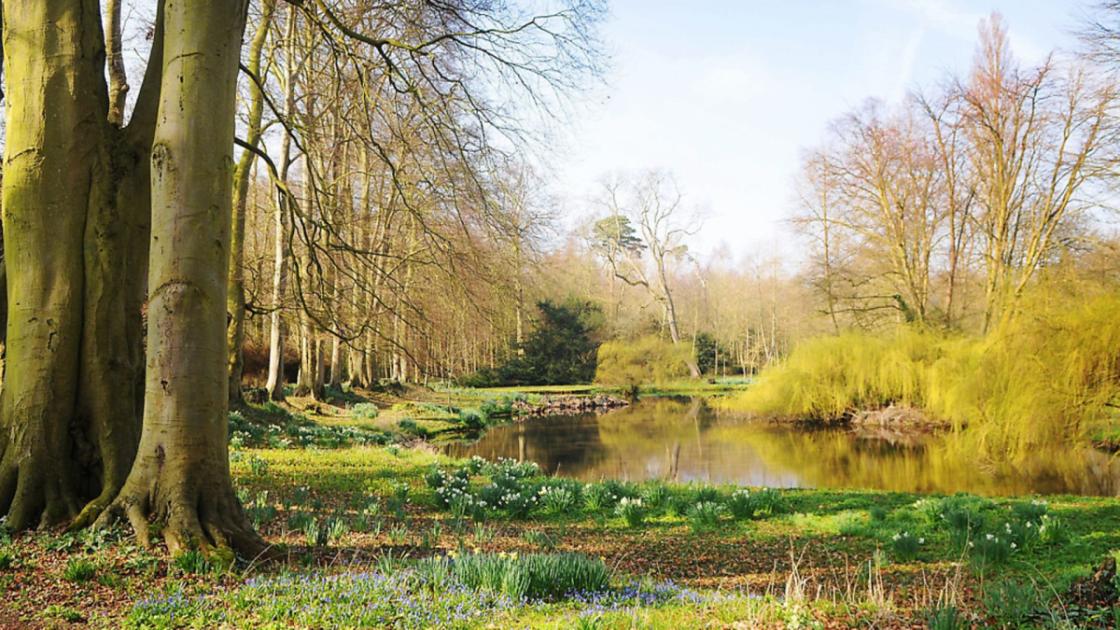 60 private gardens set to open in Norfolk this summer 