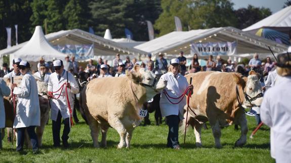 Eastern Daily Press: The 2021 Royal Norfolk Show has been cancelled - the second successive year it will not take place due to the coronavirus crisis. Picture: ANTONY KELLY Eastern Daily Press: The 2021 Royal Norfolk Show has been cancelled - the second successive year it will not take place due to the coronavirus crisis. Picture: ANTONY KELLY