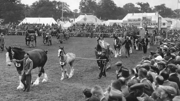 Eastern Daily Press: Light horse parade 1952 Photo: Archant Library Eastern Daily Press: Light horse parade 1952 Photo: Archant Library