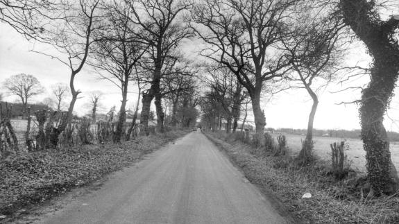 Eastern Daily Press: Hainford, where James and Dinah Maxey and Elizabeth Smith lived in the 1800s Eastern Daily Press: Hainford, where James and Dinah Maxey and Elizabeth Smith lived in the 1800s