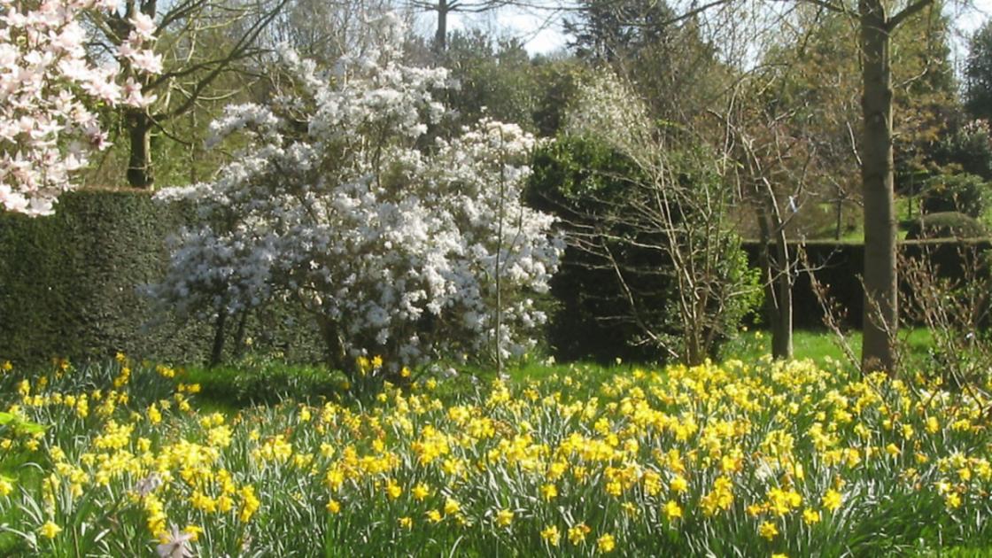 Jane Bastow's garden is open this weekend – near Bungay and Halesworth, for the National Gardens Scheme 