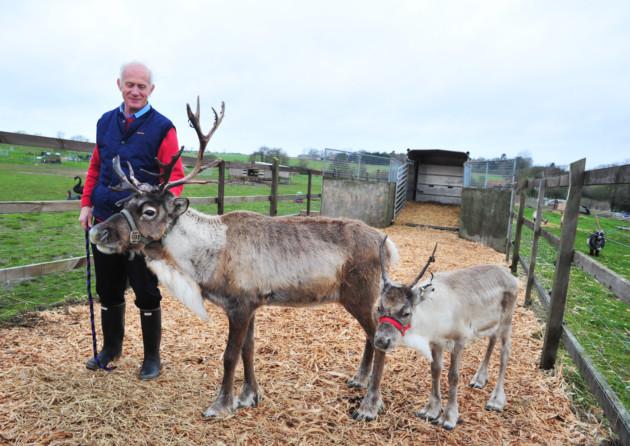 Couple's all-year round love for reindeers 