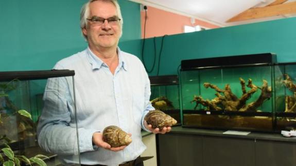 Eastern Daily Press: Martin French with a giant land snail at his BugzUK park in Lenwade. Eastern Daily Press: Martin French with a giant land snail at his BugzUK park in Lenwade.
